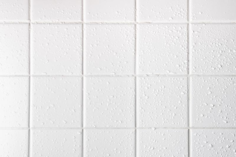 Prevent Mold and Mildew Growth With Professional Grout Sealing!
